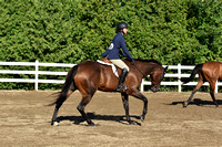 EMA_0979