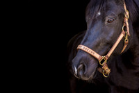 DSC_1126-Edit